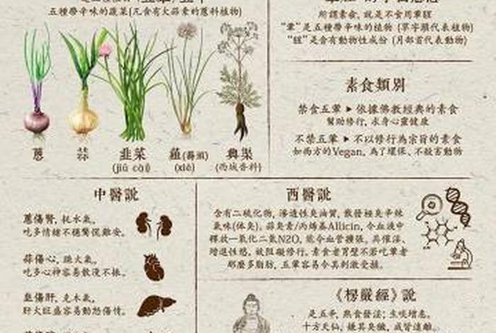 牛奶在佛教是属于素食吗；佛学中牛奶算荤还是素