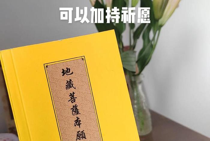 地藏经的讲解视频（地藏经的讲解视频全集）