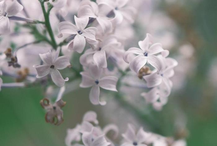 中国佛教知识竞赛官网(中国佛教知识竞赛官网入口) 中国佛教知识竞赛官网(中国佛教知识竞赛官网入口)