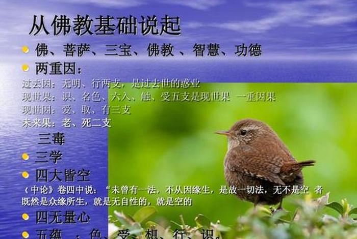 佛教自然观；佛教自然观的内涵