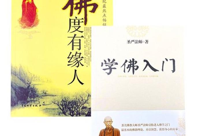 初学佛学入门视频 初步学佛教程