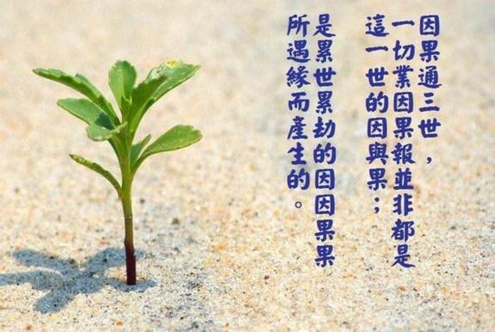 佛学怎么破除受害者思维、学佛人如何破我执