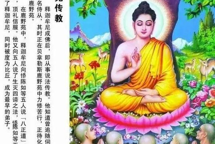 释迦牟尼创立佛教的意义是什么（释迦牟尼创立佛教的经过及其生平）
