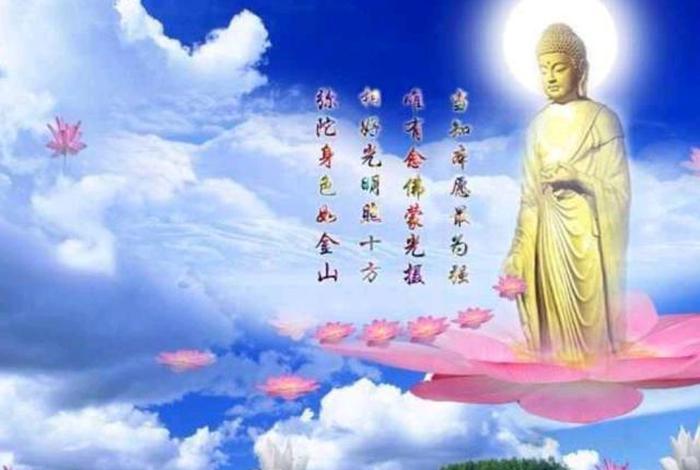 无差别佛教图片、无差别官方