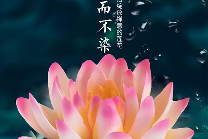 佛教圣物莲花 - 佛教莲花典故