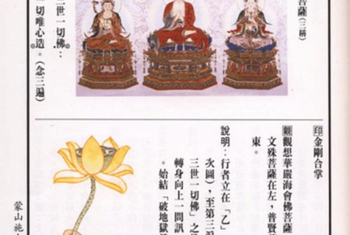 佛教ip 佛教i施食仪轨