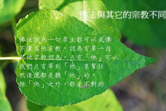 佛教对待宗教的态度；佛教对其它教派的看法