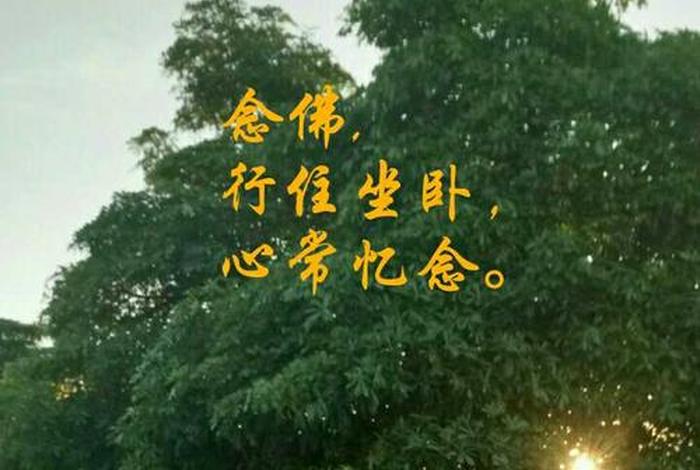 念佛体会分享、念佛体会分享心得感悟