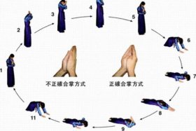 佛门礼仪视频教学全集；佛门礼仪视频教学全集播放