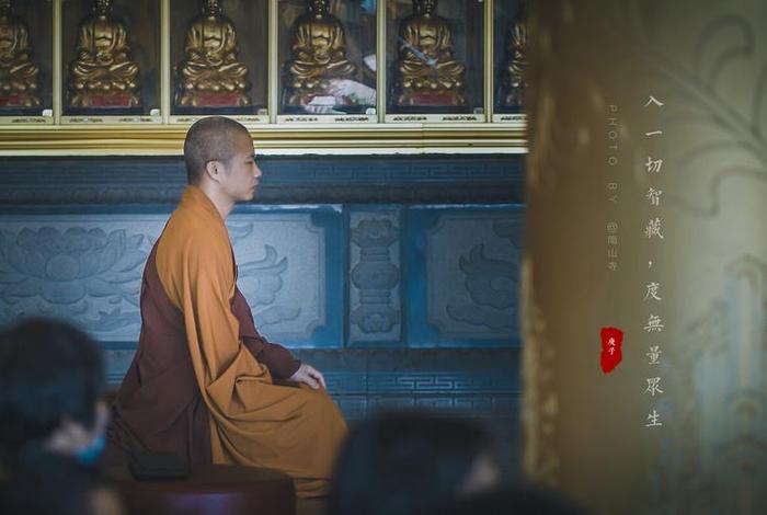 佛教徒打坐图片 - 佛教徒打坐图片高清