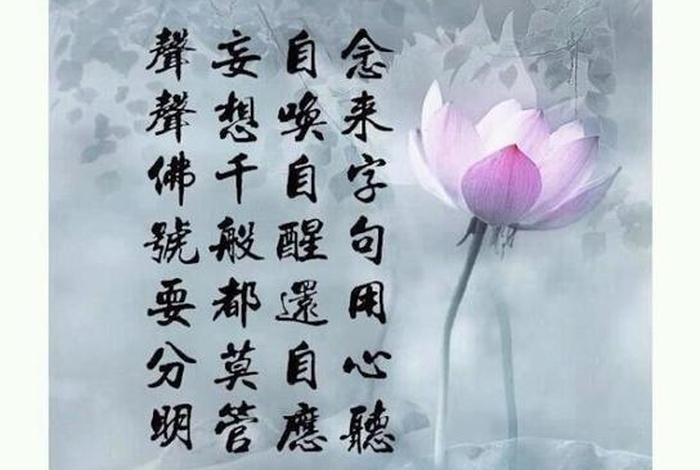 学佛的意思 - 学佛是啥