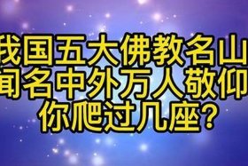 佛教地大（佛教地大的性格）