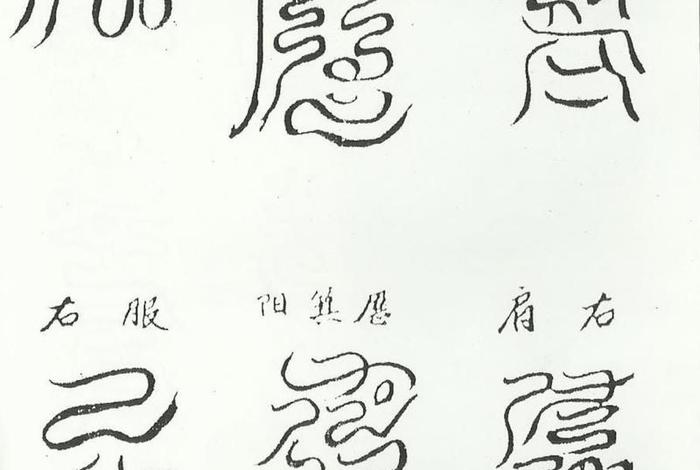 道教初学者学什么 - 道教新手入门