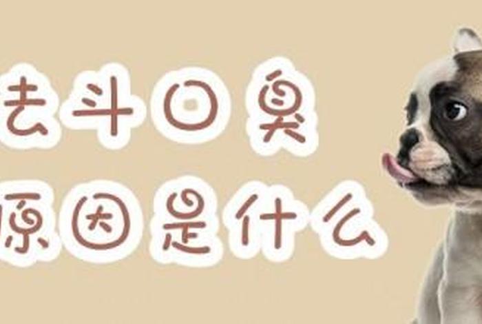 佛学中口臭身体臭是什么果报，佛学 口臭的因果
