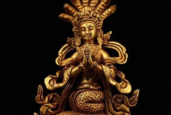 龙树菩萨佛教地位（龙树菩萨带来的经典）
