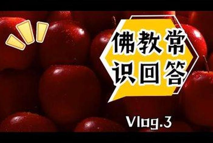 佛教常识视频，一分钟佛教常识全集视频