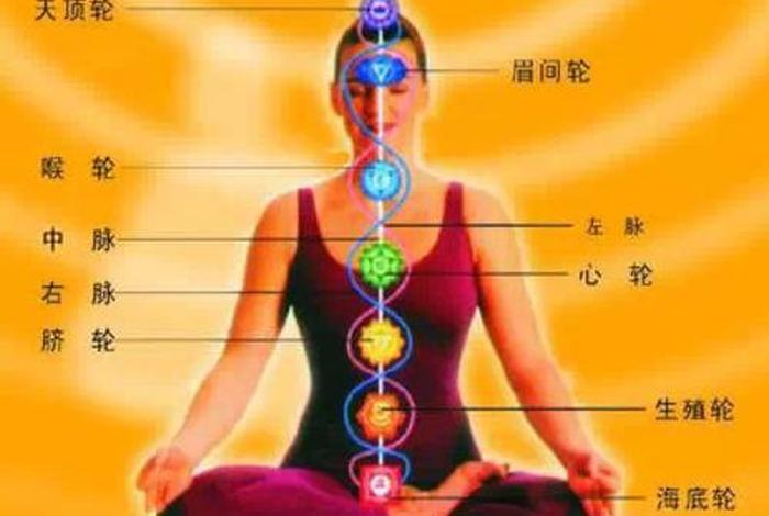 佛教打坐理论知识大全视频 - 佛教打坐的功德