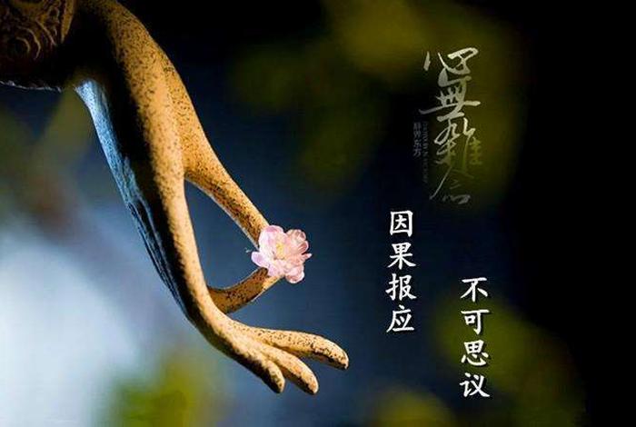 佛说身上臭味大的人 - 身体臭的因果