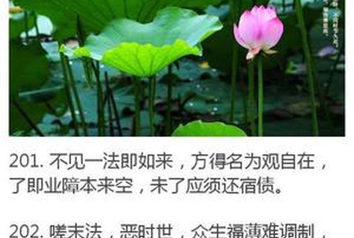 佛法禅学 - 佛教禅法