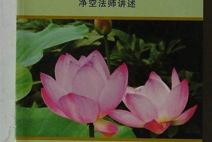 什么是真正发菩提心；怎样才是真正的发菩提心