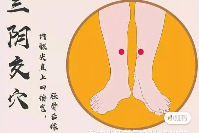 三阴学说指的是什么 三阴分别是什么