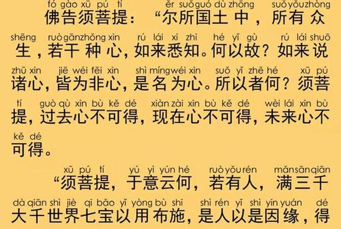 佛教入门知识金刚经视频（佛教入门知识金刚经视频全集）