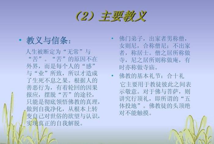 佛门礼仪分享心得感悟（佛门礼仪心得体会）