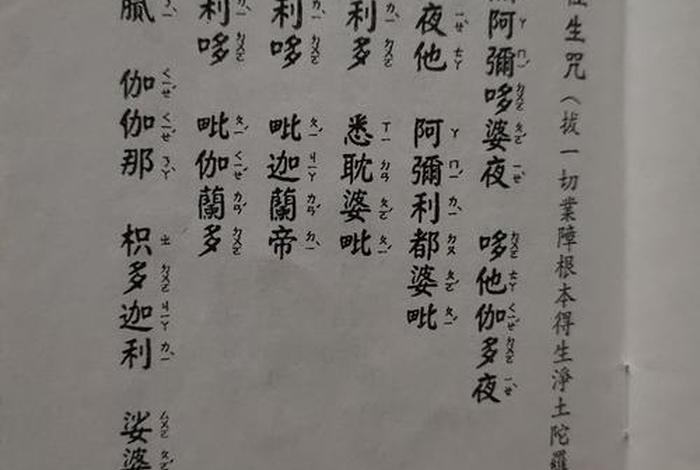 汉传佛教念什么咒；汉传佛法