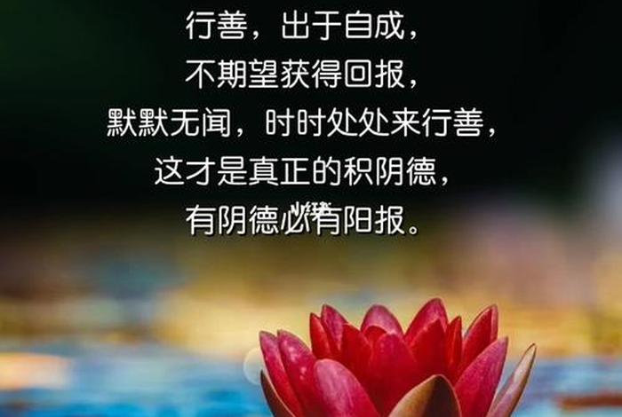 什么是阳善什么是阴德（阳德和阴德的区别）