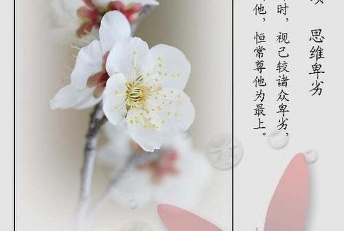 修心八偈原文及翻译，修心八颂原文智悲佛网