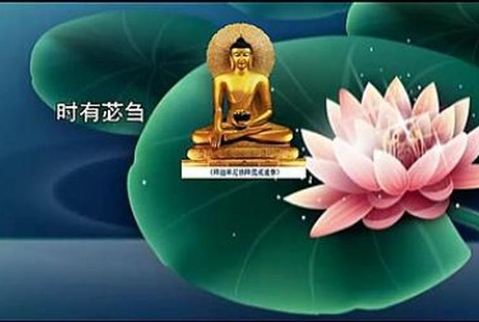 佛经视频讲解大全播放软件（佛经视频讲座大全播放）