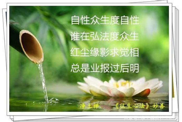佛教中的知见是什么意思，佛法知见的意思