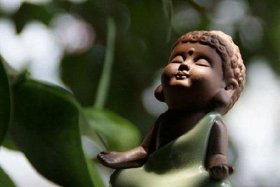 佛教非食是什么意思（佛教非我）