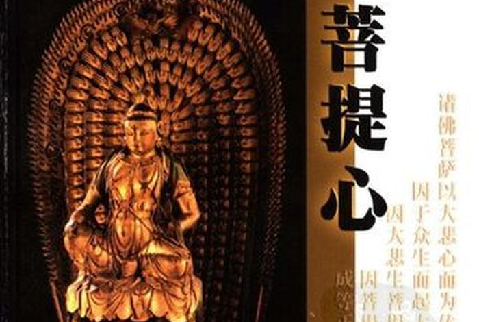 佛教常说的菩提心是什么菩提心，菩提心是指什么