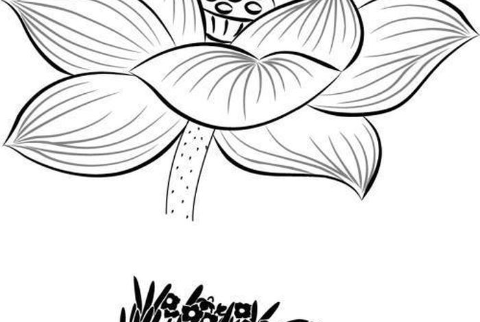 简笔画佛教（简笔画佛教莲花）