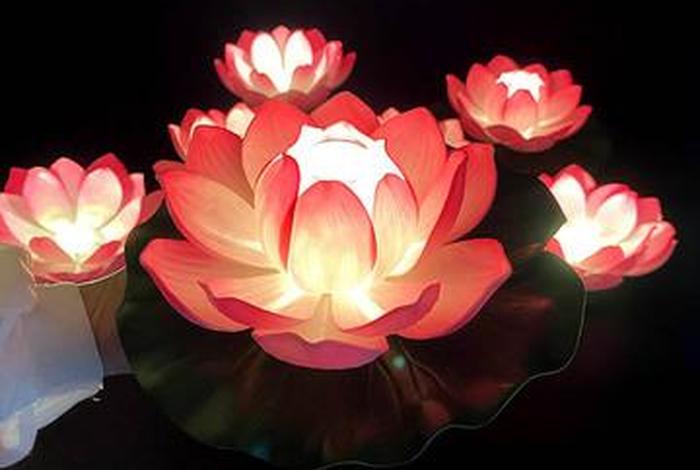 佛教莲花灯视频完整版 - 佛教莲花灯视频完整版播放