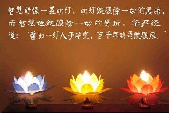 学佛就是；学佛就是学做人佛法就是完成生命
