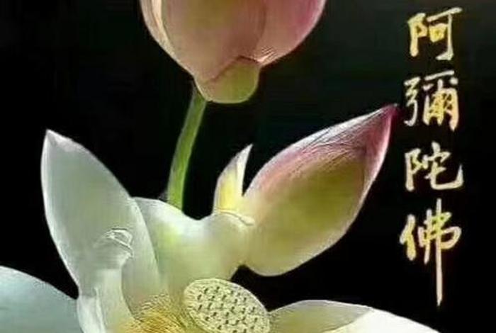 佛教开智慧的方法；佛家开智