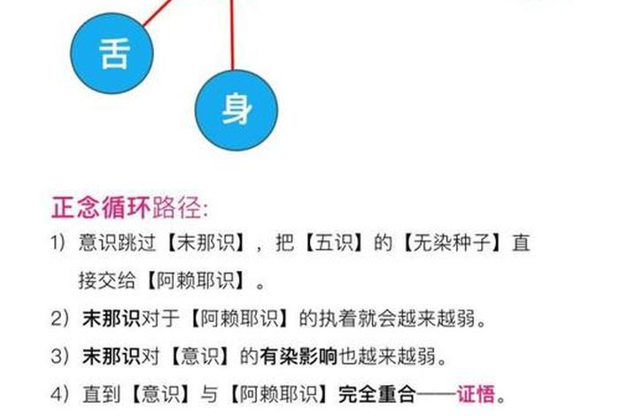 佛教最高等级阿赖耶识、南传佛教 阿赖耶识