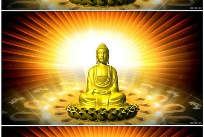 好的佛教视频（佛教视频播放）