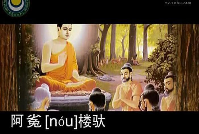 佛教教学视频大全免费观看 佛教教育视频
