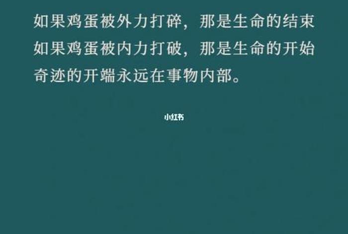 生命的开始生命的结束、生命的开始生命的结束是什么