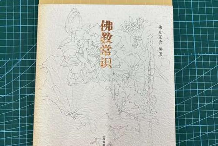 名家讲解佛教知识的书（佛学名家）