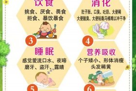 后堂是做什么的 - 后堂的重要性