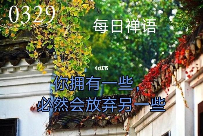 每日禅语及感悟 每日禅语app