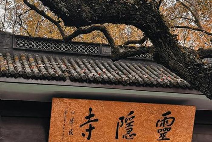 灵隐寺的文化 灵隐寺的文化特色