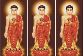 佛教里的各种佛，佛教都有啥