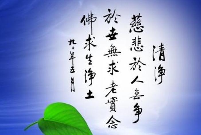 佛说一花一草一世界，佛感悟的句子-一花一世界