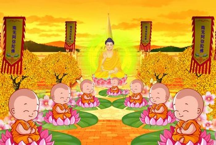佛教知识动画视频大全集（佛教知识动画视频大全集免费观看）