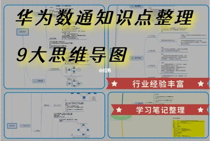 网络知识点大全免费，网络 知识